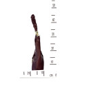 Módní stylová vínová bordó kožená kabelka přes rameno Palomi